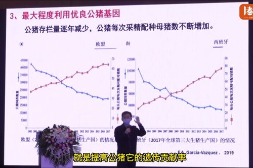 母猪批次化生产关键技术，研发进展如何