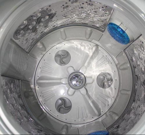 洗衣凝珠到底是啥玩意儿？