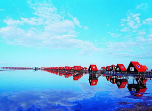 月坨岛， 那片神秘的绿洲