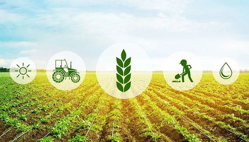 农业养殖不惧低迷，坚守信念