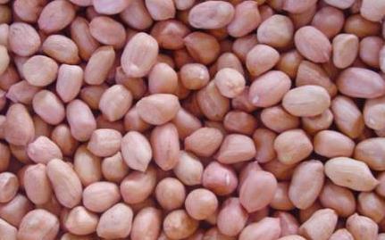 品牌产品geng放心， 质量有保障