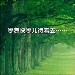 深度浇水：让水深入根系的秘密