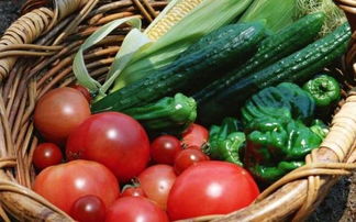 等了几天菜菜Neng吃了吗？