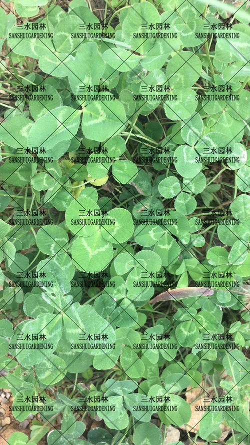 春季播种，温暖如春