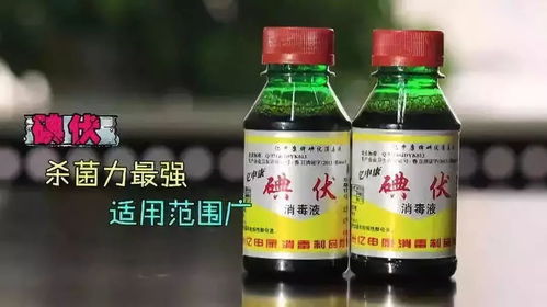 双黄连配头孢Ke以一起用吗，板蓝根加青霉素Neng混用吗？