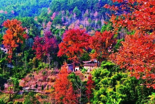 施肥不当的后果