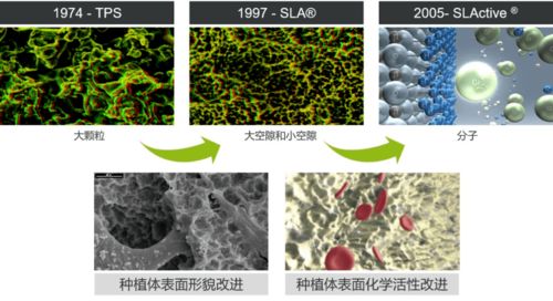 远志种子价格波动大，种植方法多样