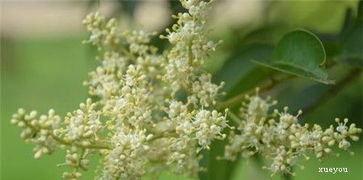 四、防范为主：如何避免烂根的发生