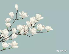 珍惜当下把握机会