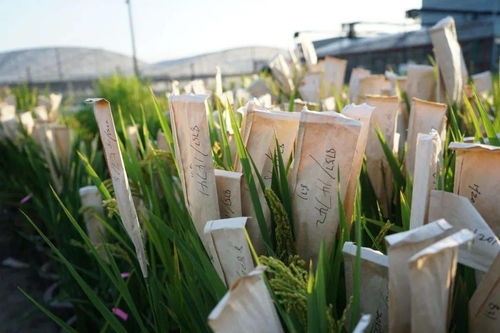 挑战与机遇，共同进步