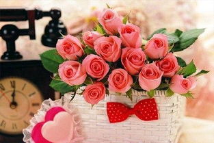 啤酒水， 延长保鲜