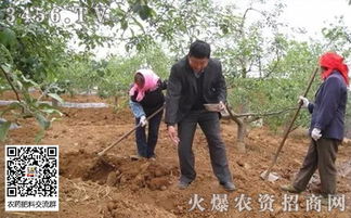 除草剂对果树树体的影响