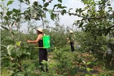 喷洒技巧， 得注意细节