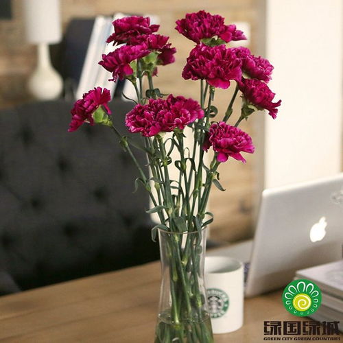 使用保鲜剂， 延长插花时间