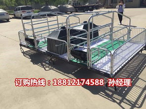 猪舍母猪产床，如何提高产仔成活率