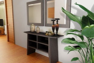 十种室内常青盆栽，你会喜欢哪一种？