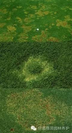 农药剂型大比拼