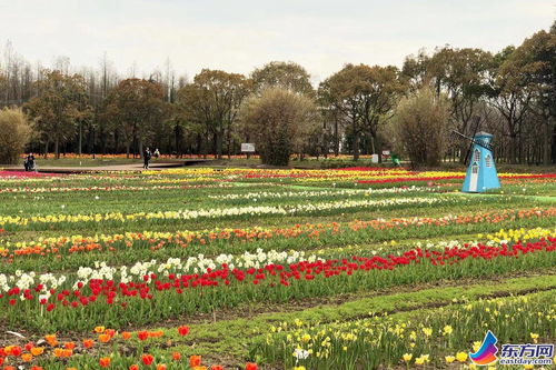 种苗研发机构，产业升级的推手