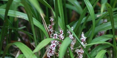 现代检测数据显示：