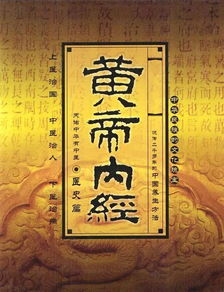 玉蜻蜓养殖过程中，有哪些关键方法和注意事项需要注意
