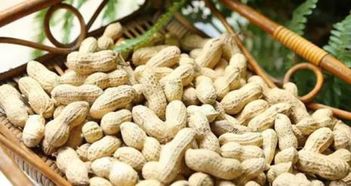 提高花生产量， 乐果农药拌种有奇效