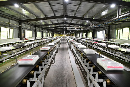 规模化猪场实验室检测短板如何突破以实现高质量发展？