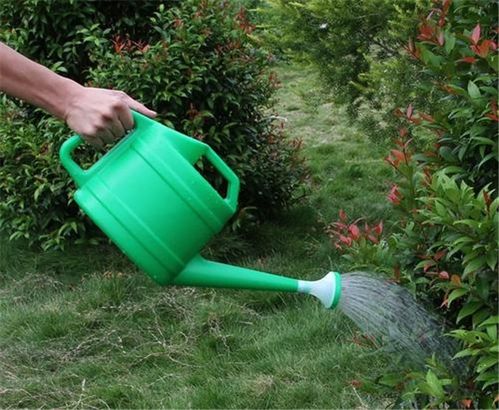 长时间不在家，怎么办？