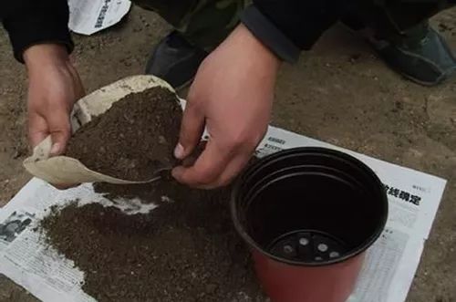 土壤消毒剂种类多，各有优缺点