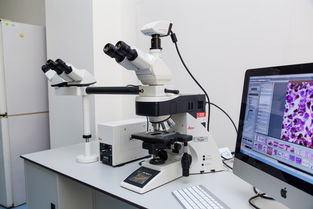 细菌小秘密：荧光染色大揭秘