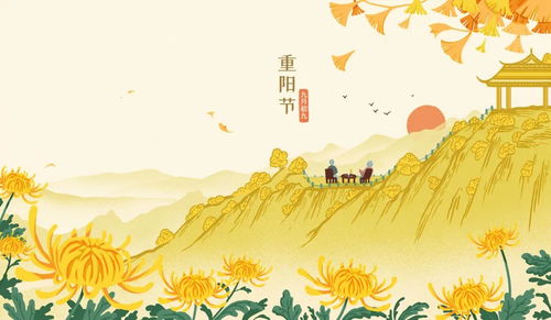 送菊双，重阳节至