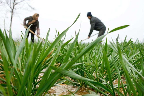 穷鬼版越冬神器推荐