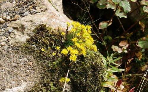 怎么操作？简单几步走