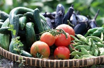 西红柿：红色汤水的万嫩选手