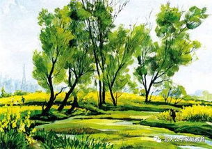 春天施肥的绿意盎然