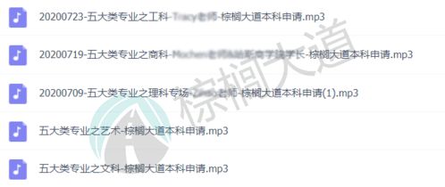 棕榈叶子， 摇曳生姿
