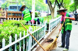 绿化养护的困境与挑战