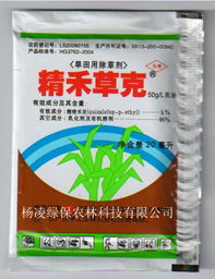 油菜起苔，草除灵来帮忙？