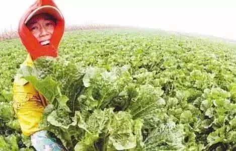 长沙春季种植大点名