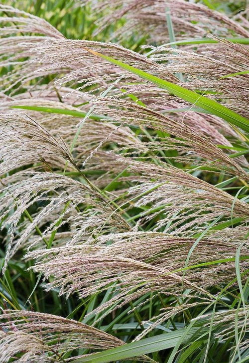 示范基地的成功经验， 水土流失少八成