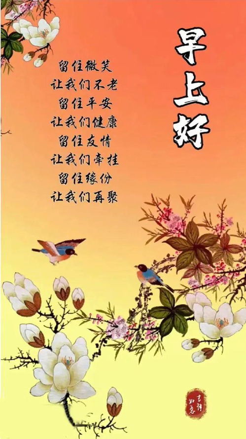 含笑的花语：离别中的温馨记忆