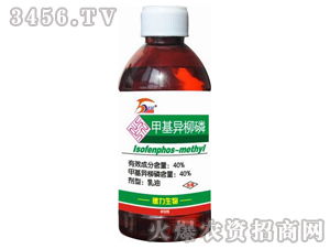 甲基异柳磷：灌根的可行性