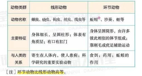 核心渠道对比表