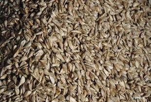 播种前的准备工作