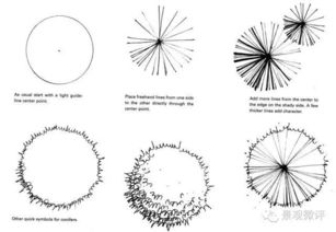 第四步：细化灌木的形状和大小