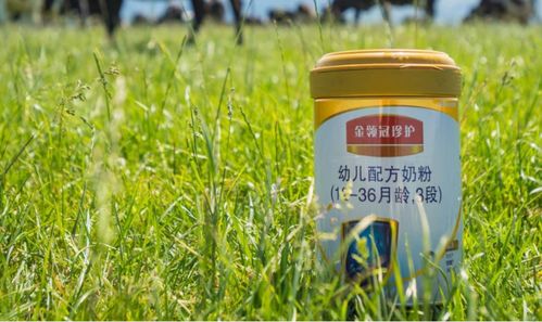 四季春茶油 - 行业翘楚，品质卓越