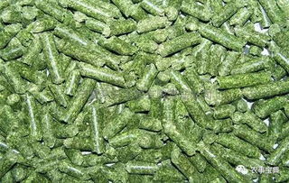 苜蓿草作为饲料，有哪些有效的长期储存方法可以保持其营养价值？