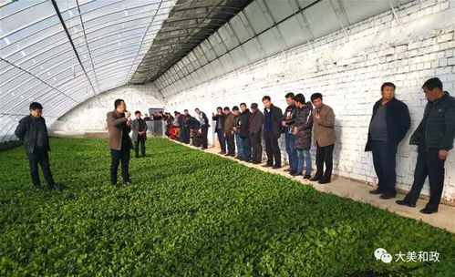 降低成本， 陕西凤县参农有高招