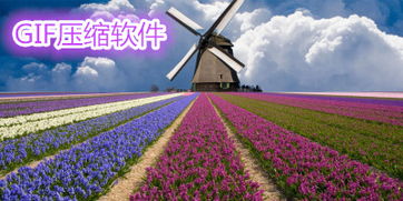 红叶观赏的地点与特点