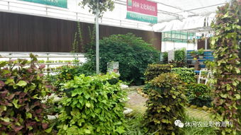 四川农场名录与苗木场信息