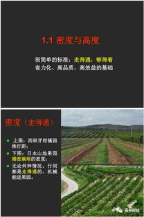 “农业养殖精细化管理策略”
